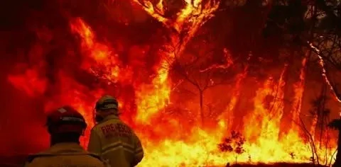 पश्चिमी अस्ट्रेलियामा भीषण बुशफायर, कोली सहरमा तत्काल निकासी आदेश